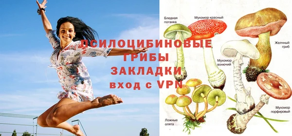 спайс Баксан
